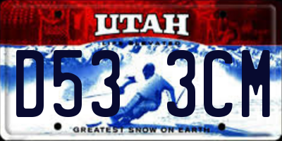 UT license plate D533CM