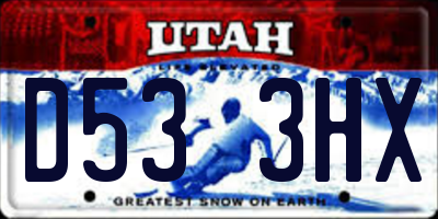 UT license plate D533HX