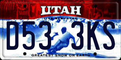 UT license plate D533KS