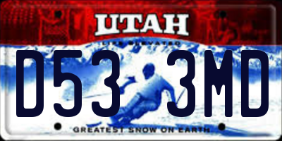 UT license plate D533MD