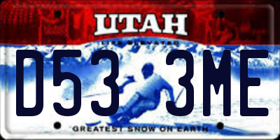 UT license plate D533ME