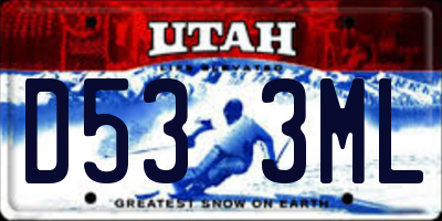 UT license plate D533ML