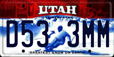 UT license plate D533MM