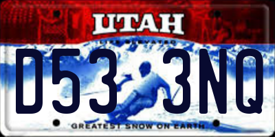UT license plate D533NQ