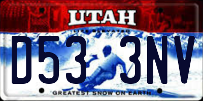 UT license plate D533NV
