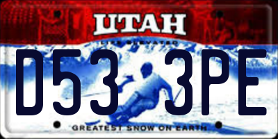UT license plate D533PE