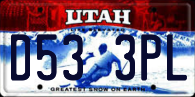 UT license plate D533PL
