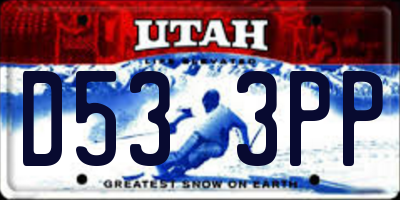 UT license plate D533PP