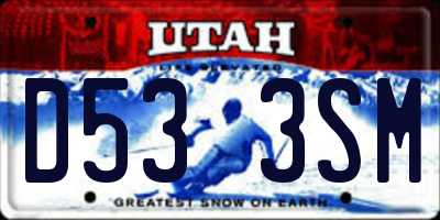 UT license plate D533SM