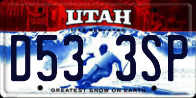 UT license plate D533SP