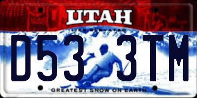 UT license plate D533TM