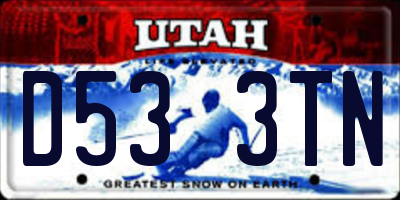 UT license plate D533TN