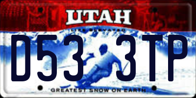 UT license plate D533TP