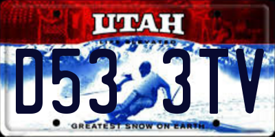 UT license plate D533TV