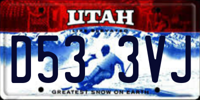 UT license plate D533VJ