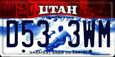 UT license plate D533WM
