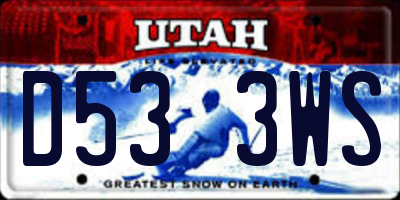 UT license plate D533WS