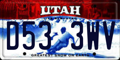 UT license plate D533WV