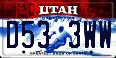 UT license plate D533WW