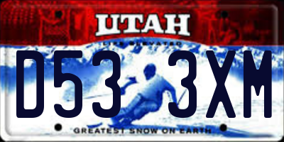 UT license plate D533XM