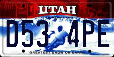 UT license plate D534PE