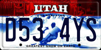 UT license plate D534YS
