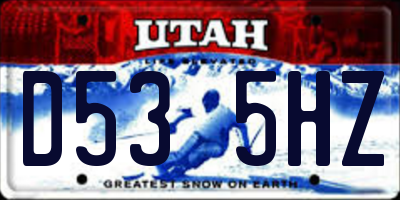 UT license plate D535HZ