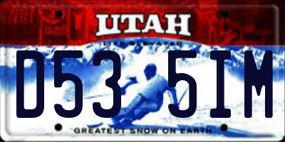 UT license plate D535IM