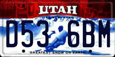 UT license plate D536BM
