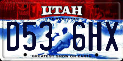 UT license plate D536HX
