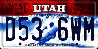 UT license plate D536WM