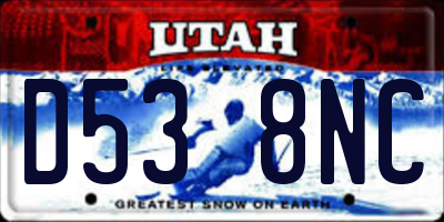 UT license plate D538NC