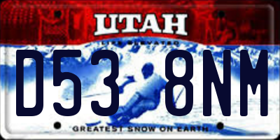 UT license plate D538NM