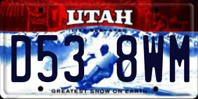 UT license plate D538WM