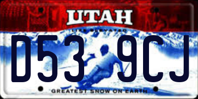 UT license plate D539CJ