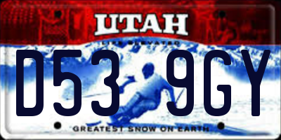 UT license plate D539GY