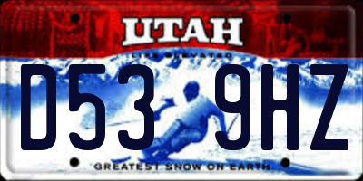UT license plate D539HZ