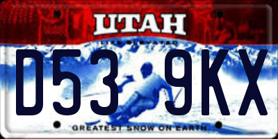 UT license plate D539KX