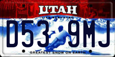 UT license plate D539MJ