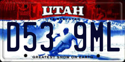 UT license plate D539ML