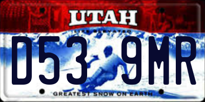 UT license plate D539MR