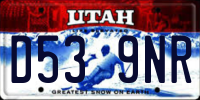 UT license plate D539NR