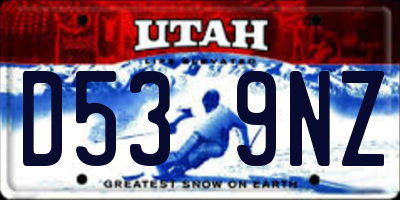 UT license plate D539NZ
