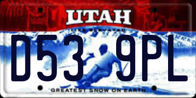 UT license plate D539PL