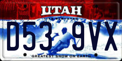 UT license plate D539VX