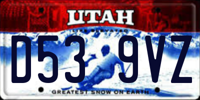 UT license plate D539VZ