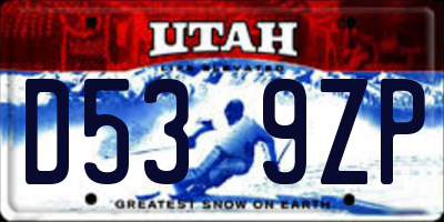 UT license plate D539ZP