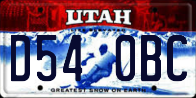 UT license plate D540BC