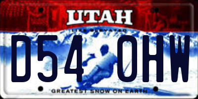 UT license plate D540HW