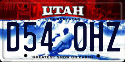 UT license plate D540HZ